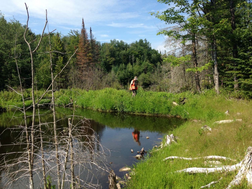 a man walks around a lake
