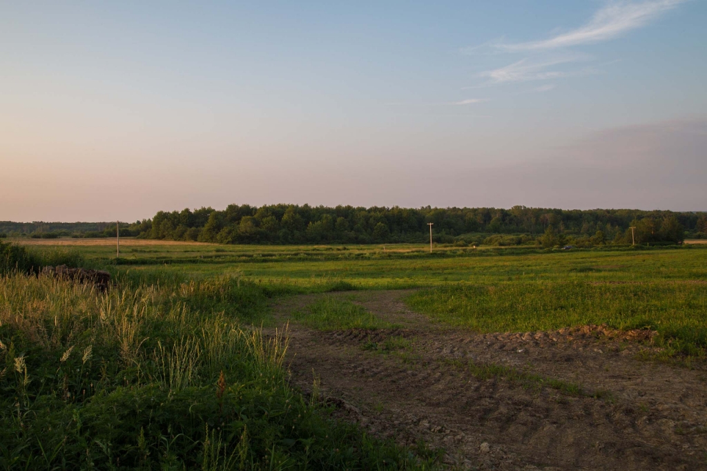 field