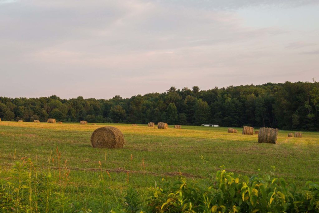 South Ripley project area